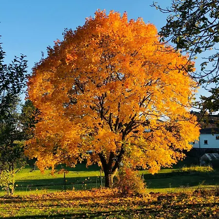Villa Landleben Auf Zeit Utzerath Exterior foto