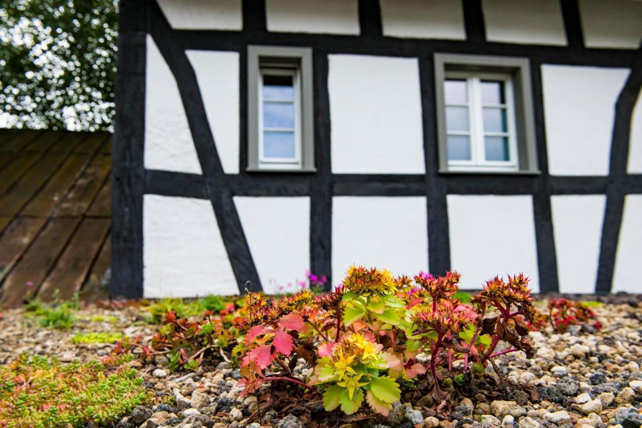 Landleben Auf Zeit Holiday home